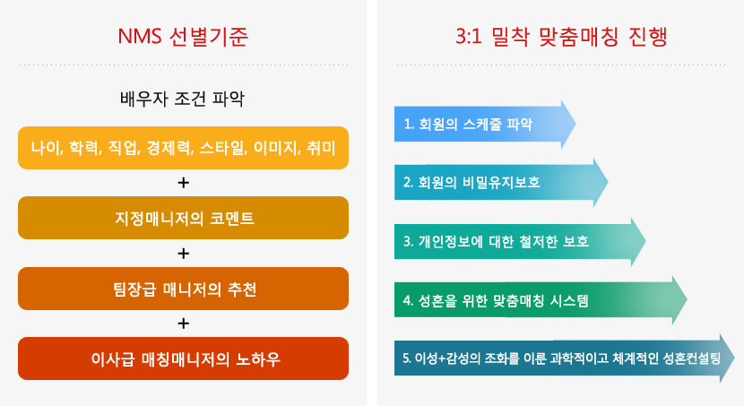 3:1 맞춤 시스템